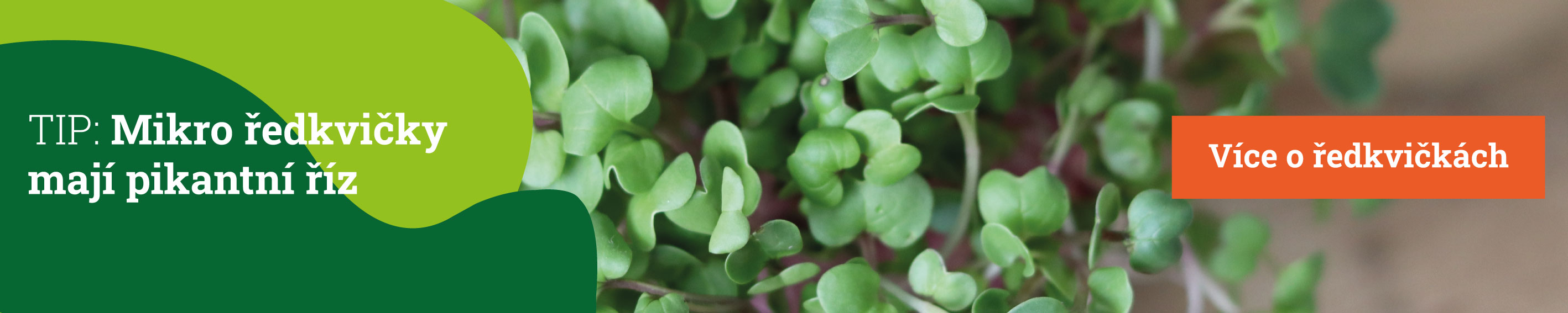 Banner_Kategorie_Mikrozelenina_1000x200